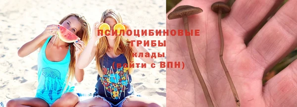 прущий лед Арсеньев