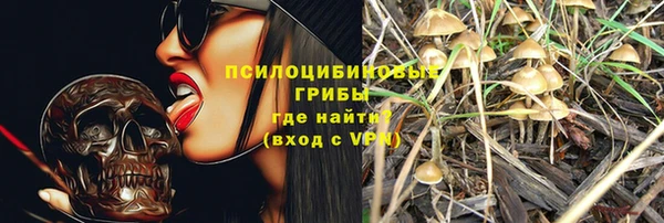 прущий лед Арсеньев