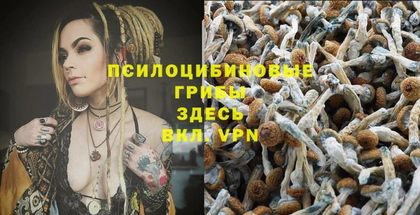 прущий лед Арсеньев